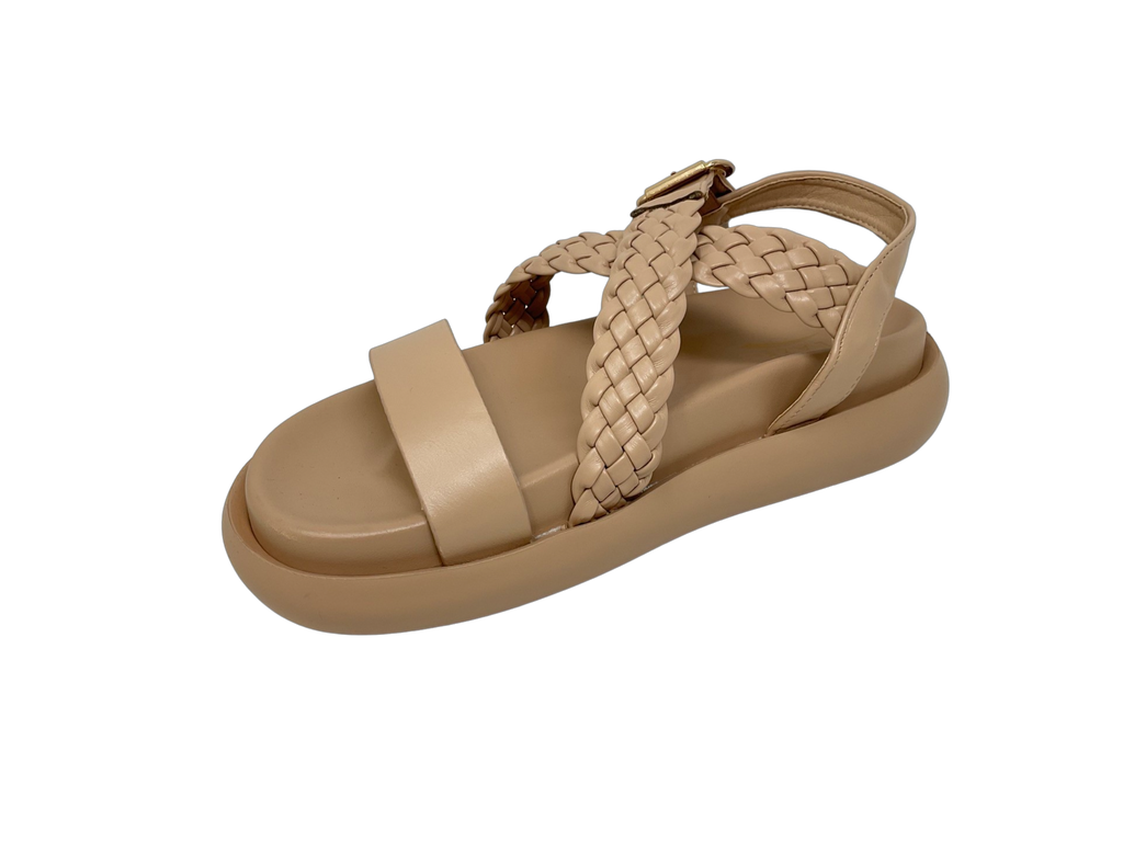 SOFT 6